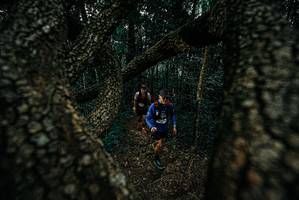 BIB: 
                            <button type="button" onclick="openModal(25689134)" class="btn btn-primary btn-sm float-right btn-popup" data-toggle="modal" data-target=".modal-high-quality">
                        <i class="fas fa-shopping-cart"></i> Add to Cart
                    </button>
                                            <button type="button" onclick="isThisMe(25689134, true)" class="btn btn-success btn-sm float-right btn-popup btn-isme hidden" data-toggle="tooltip" data-placement="bottom" title="นี่คือรูปของคุณใช่ไหม คลิกที่นี่เพื่อเอาเข้าอัลบั้ม">
                        <i class="fas fa-plus"></i> Add to album
                    </button>
                    <button type="button" onclick="isThisMe(25689134, false)" class="btn btn-warning btn-sm float-right btn-popup btn-isnotme hidden">
                        <i class="fas fa-ban"></i> Remove from album
                    </button>